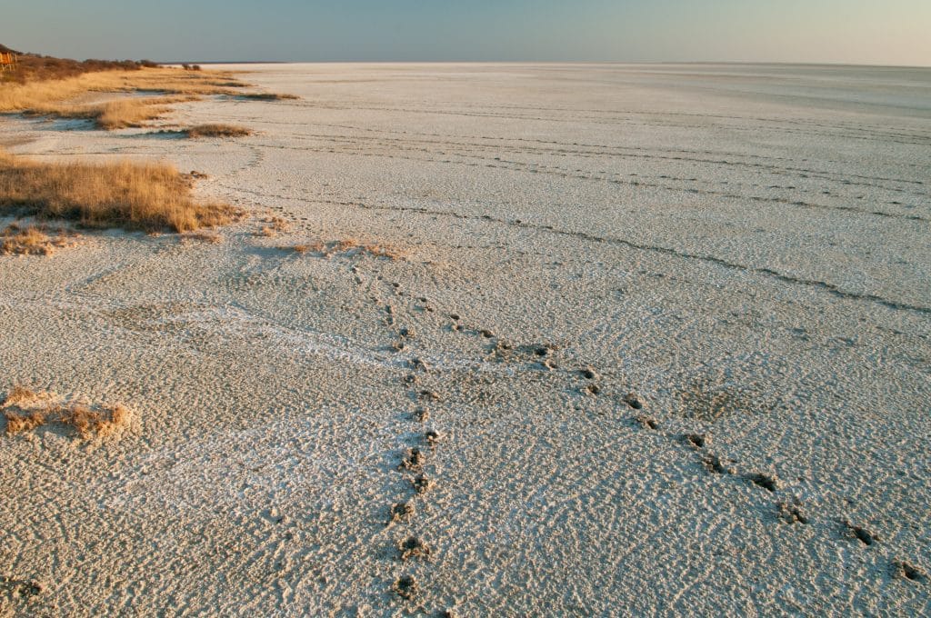 etosha5