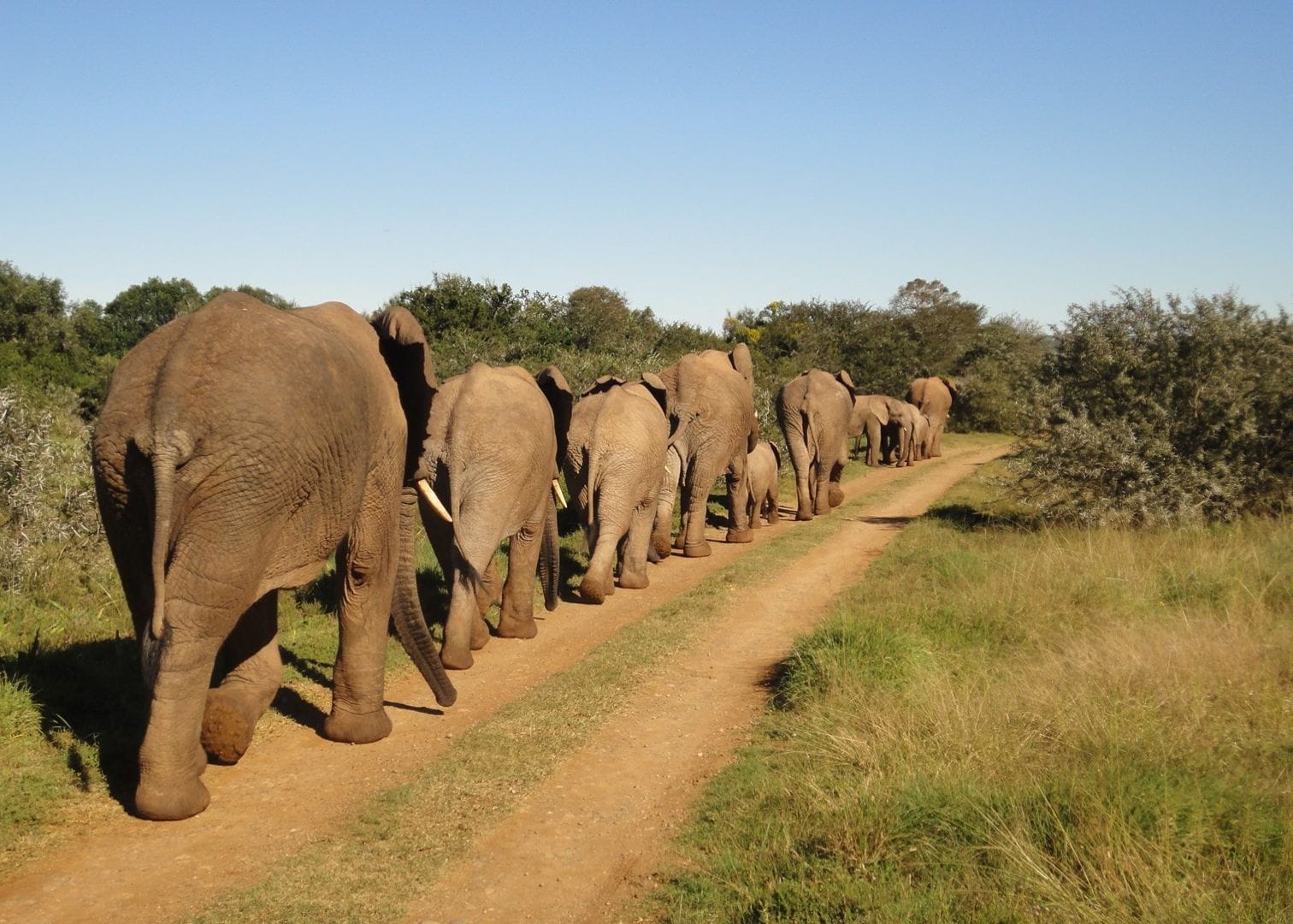 001184133166162052066173059132193000014043129095