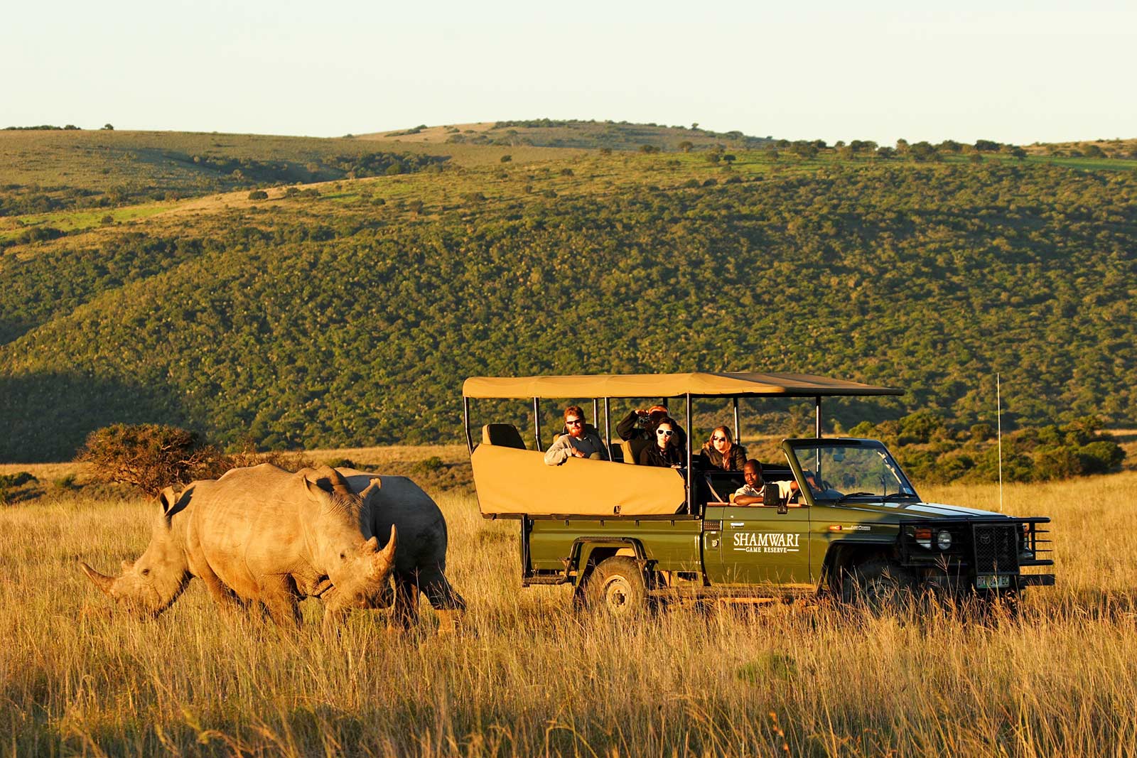 sarili-lodge-shamwari-game-reserve-5